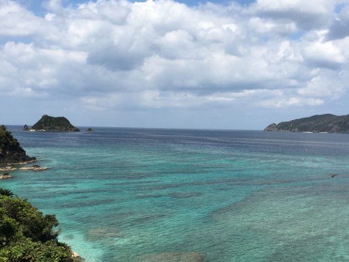奄美大島 ゆかり