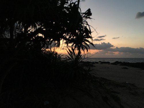 奄美大島 ゆかり